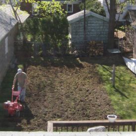 Starting an Urban Homestead